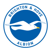Brighton and Hove Albion FC History