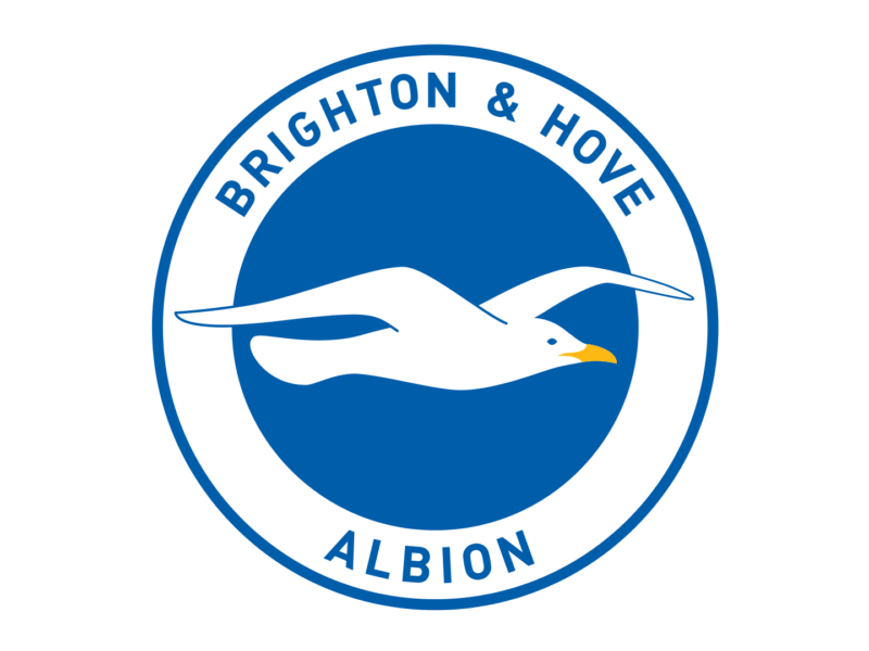 Brighton and Hove Albion FC History