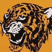 Hull City FC History