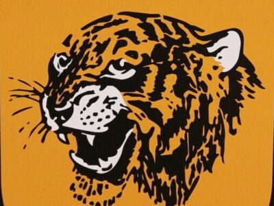 Hull City FC History