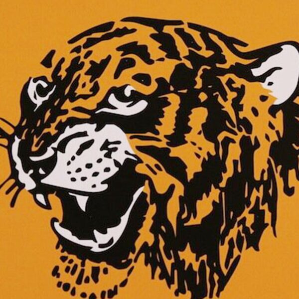 Hull City FC History