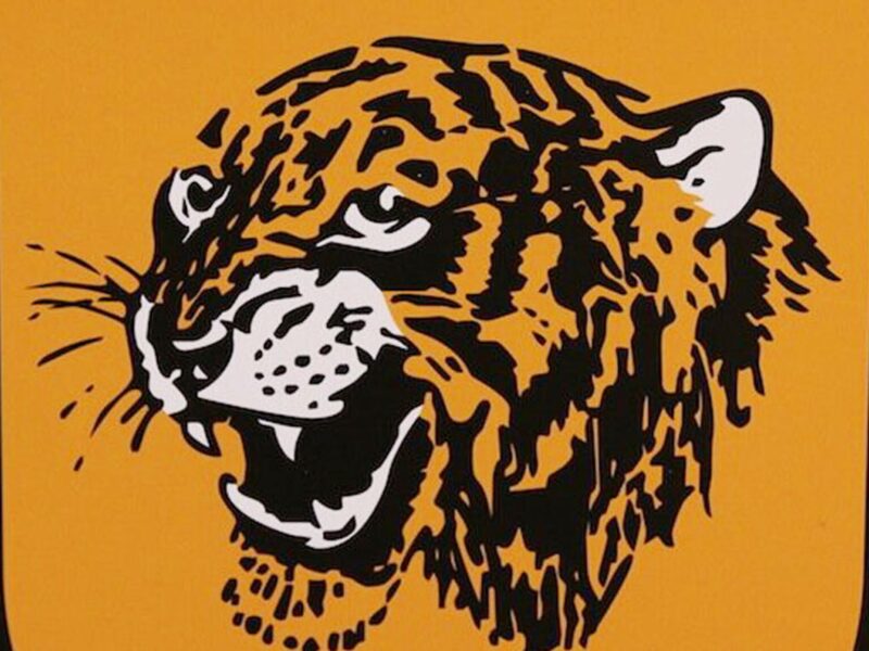 Hull City FC History