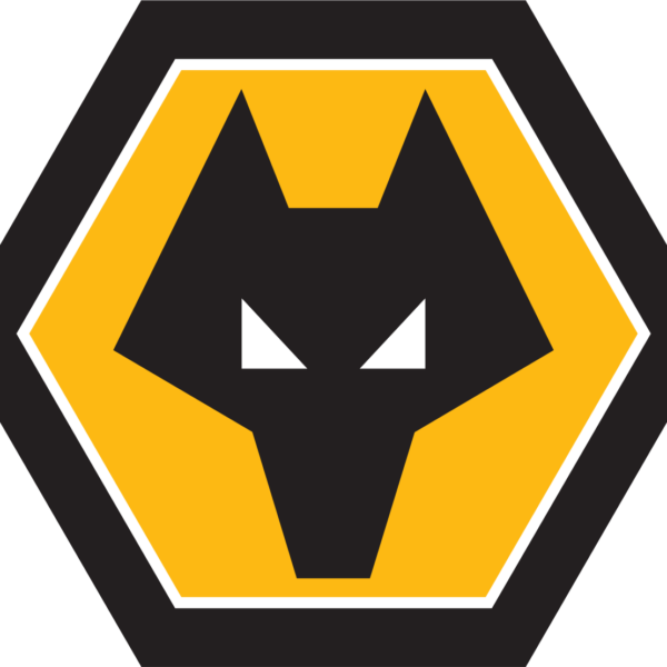Wolverhampton Wanderers FC History