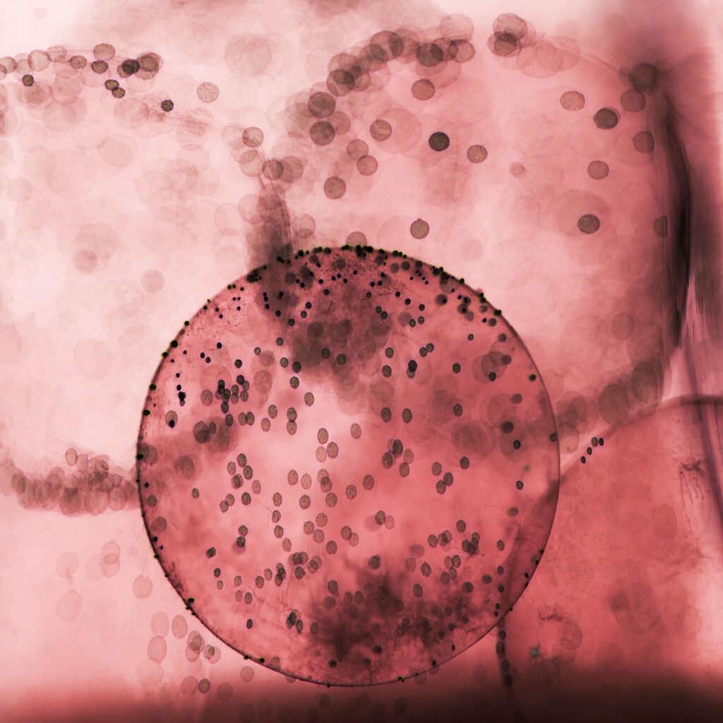 Do these common cough remedies actually work