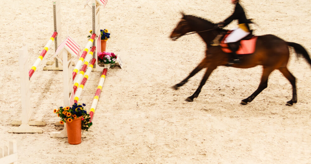 Future of historic common ridings 'in jeopardy'