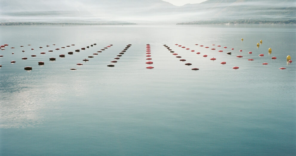 Water polo player's hopes for Olympic glory